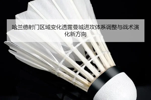 哈兰德射门区域变化透露曼城进攻体系调整与战术演化新方向